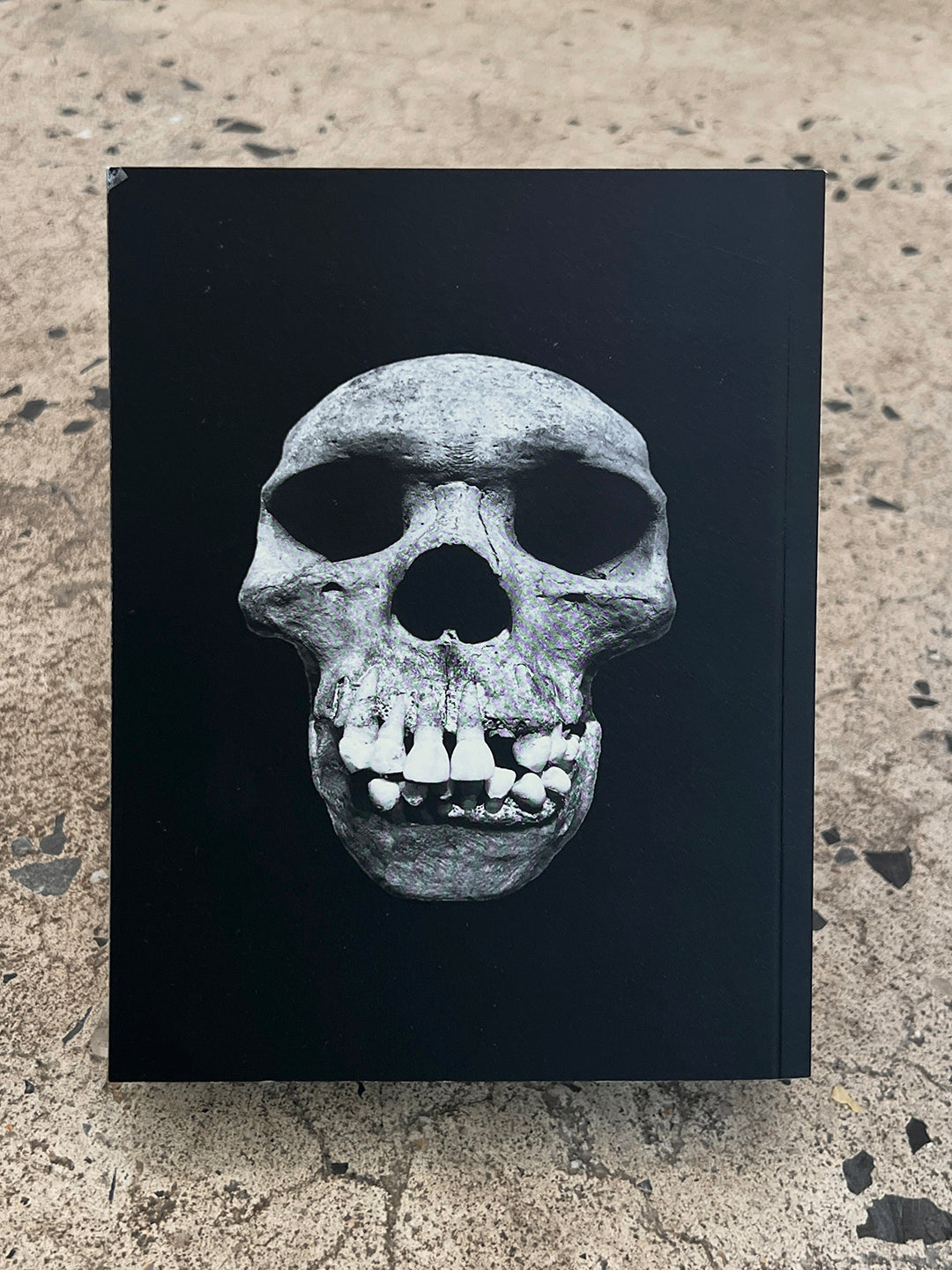 Smiling Faces Sometimes by Pia Dehne