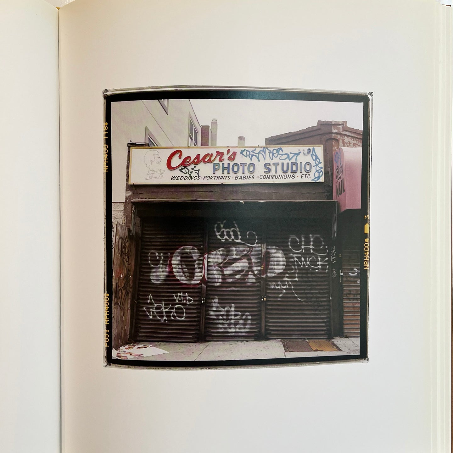 Analogue by Zoe Leonard
