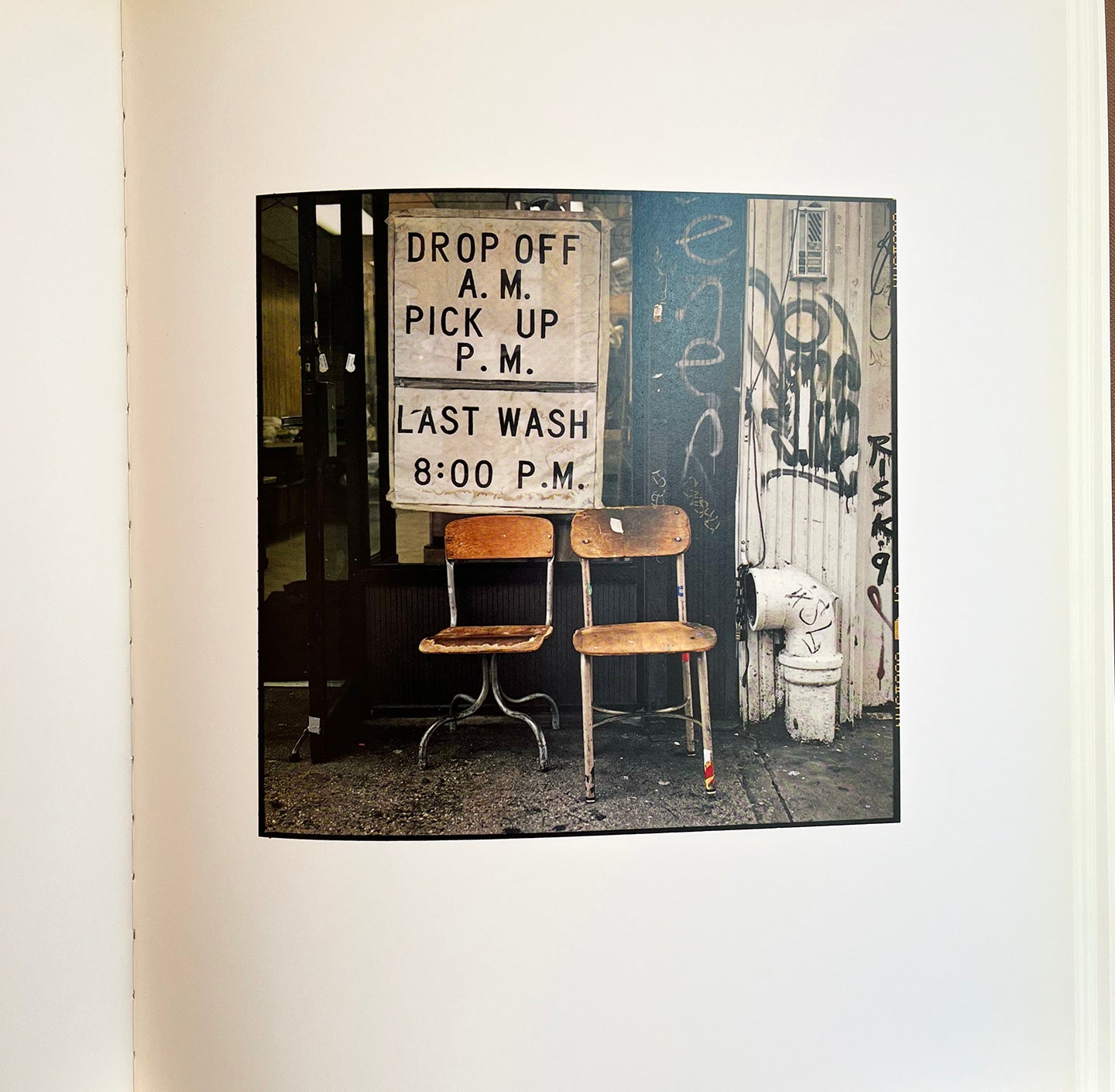 Analogue by Zoe Leonard