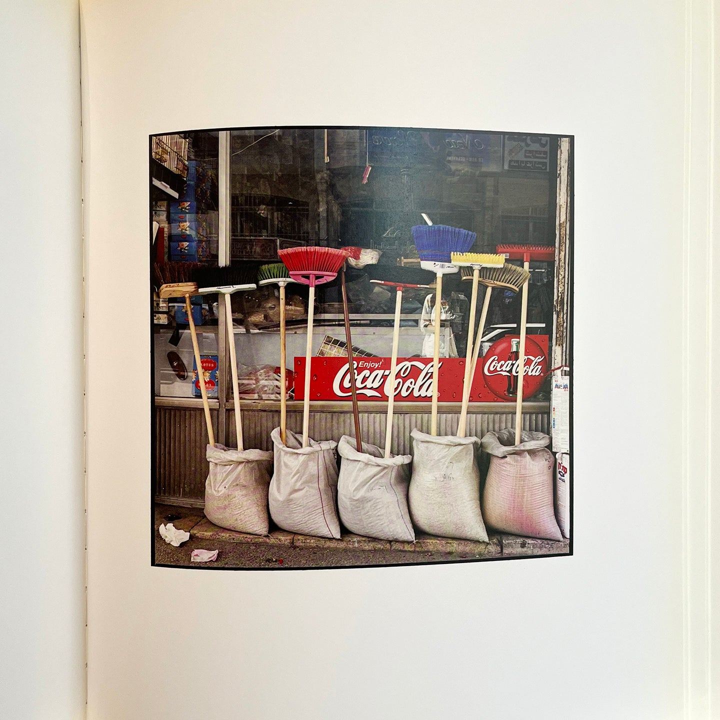 Analogue by Zoe Leonard