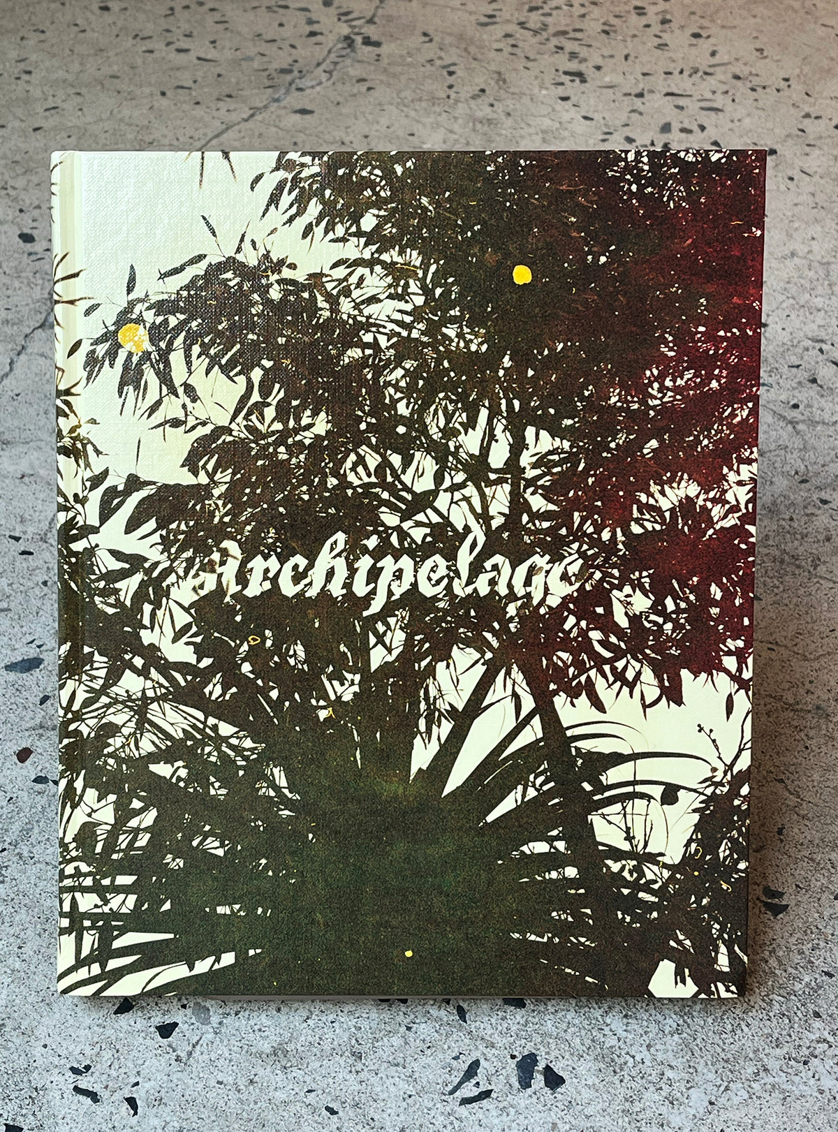 Archipelago by Matthew Porter
