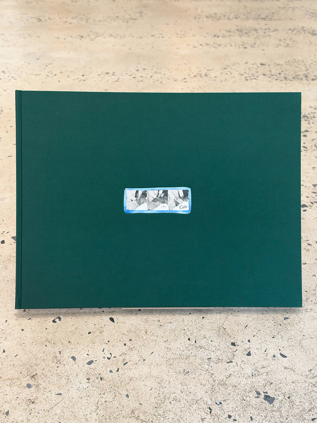 Thirty Cuts by Jim Goldberg