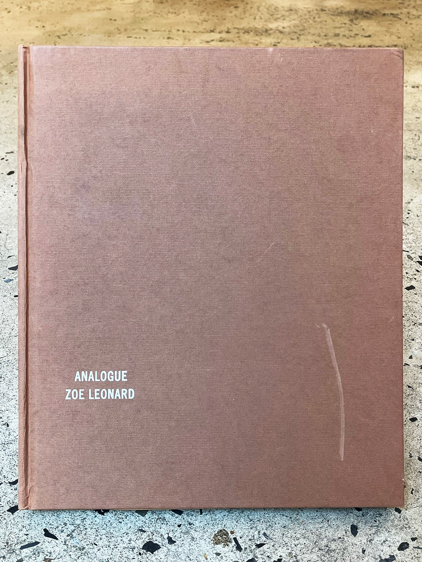 Analogue by Zoe Leonard