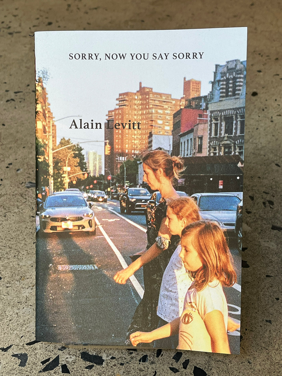 Sorry, Now You Say Sorry by Alain Levitt