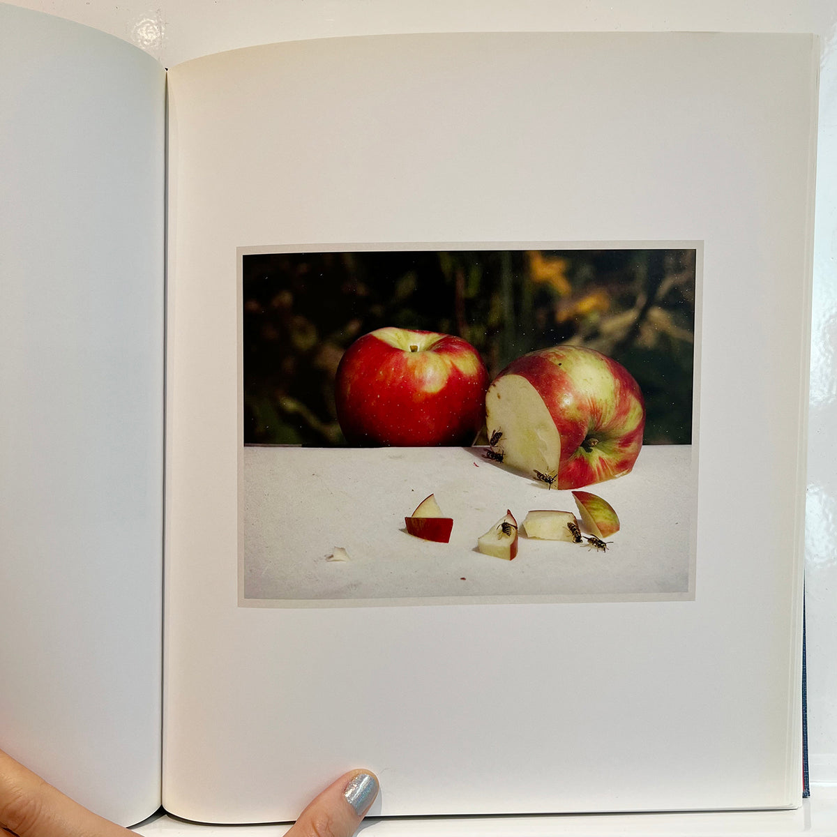 Le Luxe by Roe Ethridge