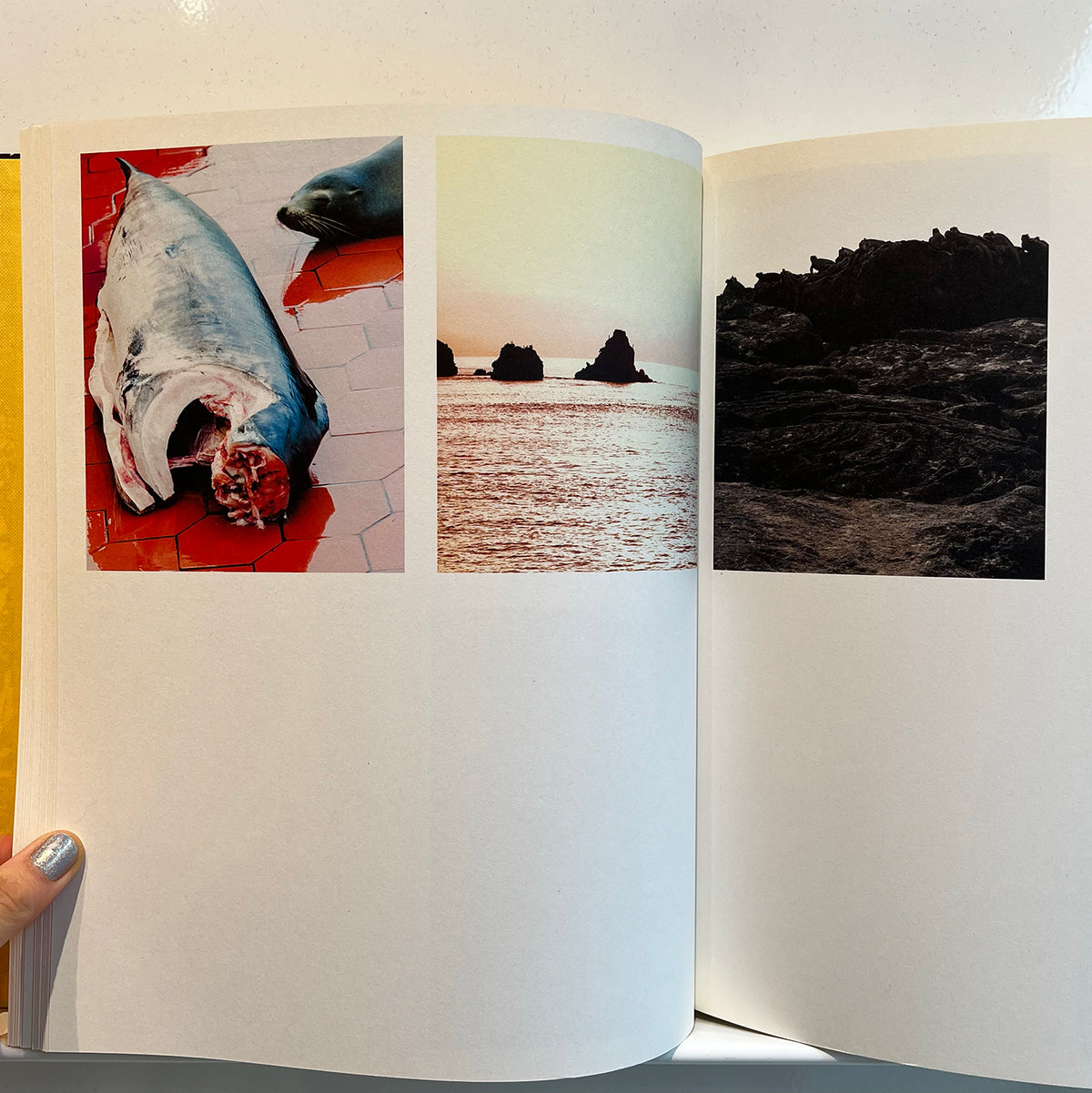 Archipelago by Matthew Porter